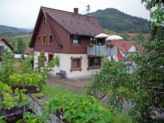 Haus am Mühlenweg - Ottenhöfen - 7