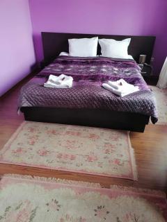 Eleonor Mountain Studio - Bansko - 9