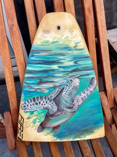 Shifting Sands Surf Camp - Labenne - 8
