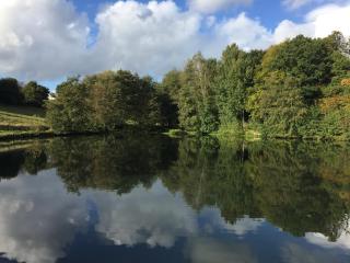 La Suite d'Ondine - Lobbes - 8