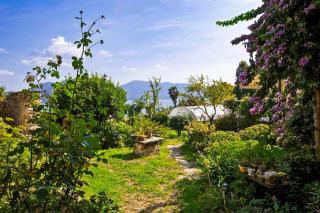 Casa Bougainville - 2