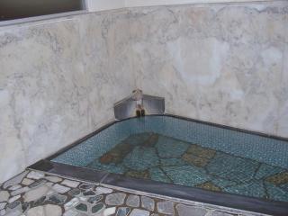 鍾寿館 - Nakanojo - 2