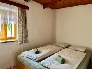 Chalupa pod orechem / Romantic cottage in Sumava - Hartmanice - 4