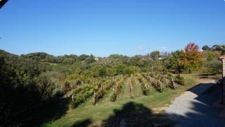 Agriturismo le Vallilunghe - Chiatri - 5