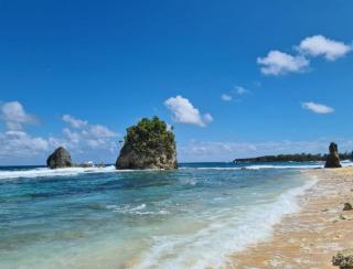 Azteca Serenity Villa -2BR with Private Pool and Ocean Views - Treasure Beach - 5