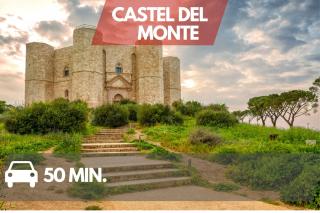 10 min Airport & WIFI - Wonderful Villa 5 Stelle - - 3