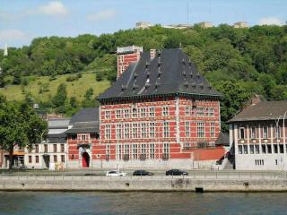 La Grange de Liège - 2 bedrooms - pkg by FineNest - Liegi - 5
