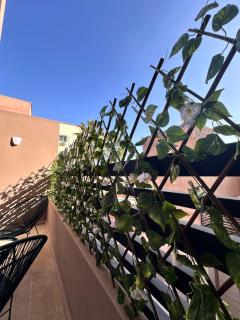 Appart haut standing - centre ville - 3