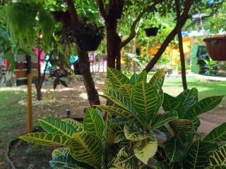 Pousada do Mel- Iranduba - 4