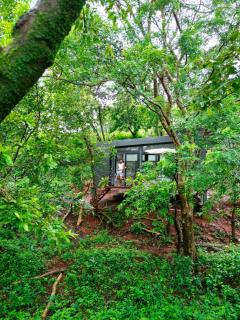 Wind over Waters Cabin 2 - Lavasa - 1