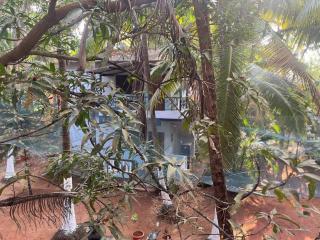 Tender Coconut - 1