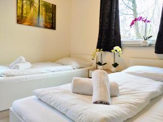 Apartment for 6 guests with 3 rooms - Geesthacht - 1