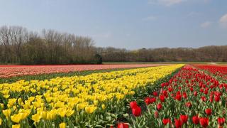 Steenhof Beach House - 2