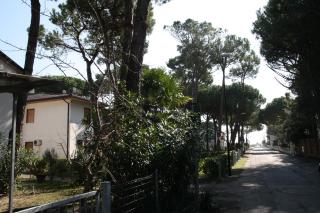 Jolly family apartments - Lido di Jesolo - 8