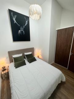 Appartement Prestige 8 à 10pers I Draps&ménage inclus I parking privé - Saint-Lary-Soulan - 6