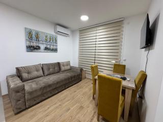 Apartman CRYSTAL - Vrnjci - 1