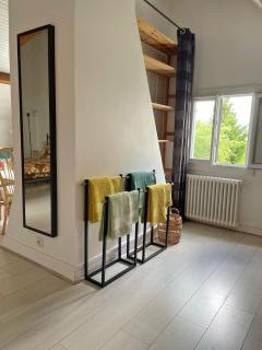 Chambre spacieuse avec jardin - 7