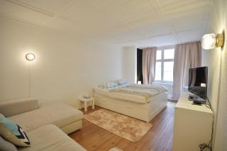 Cozy City Center, 4 bedroom- 120sq, 5min walk to Main Station - Basilea - 0