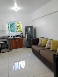 Ellen's Relax House - Santiago de los Caballeros - 5