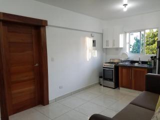 Ellen's Relax House - Santiago de los Caballeros - 1
