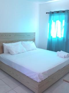 Ellen's Relax House - Santiago de los Caballeros - 2