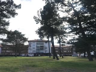 La Forêt 5 - Mimizan-Plage - 1