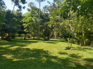 Mwamba Tourist Beach & Safari's - Fort Portal - 3