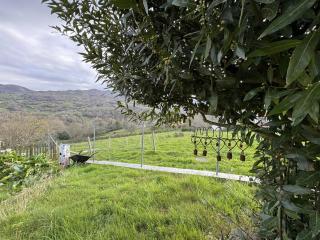 Casa Verana en Asturias -  - 7