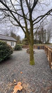 Wrens nest - Newton Stewart - 4