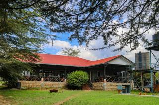 Mt Longonot Country Resort - Naivasha - 7