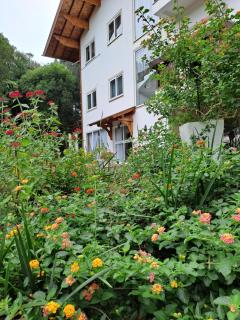 Villa Gruntal Hospedaria - Treze Tílias - 9