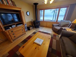 Dog Friendly Leech Lake Home w Perfect Beach Garage Boat Lift - Walker - 3