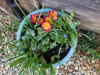 Cherry Orchard Retreat - 6