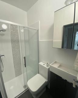 Comfortable studio west London - 5