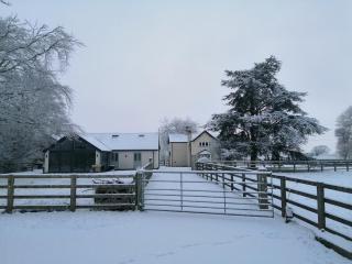 Premium Victorian Stables Conversion - - 9