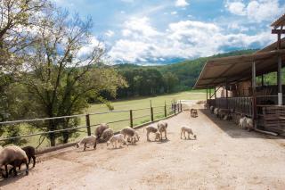 La Cabanya Planella - Vall de Bianya - 9