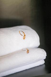 Foyal Toloman - Hollywood Appart - 1