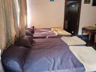Silver Shadow with pool stay - Chikmagalur - 3