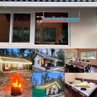 Silver Shadow with pool stay - Chikmagalur - 8
