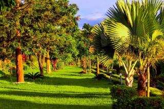 Jasper Palace Rebero - 5