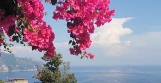Villa Grace Amalfi seaview - 5