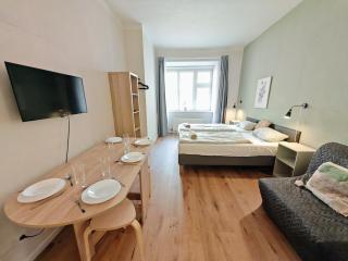 Flat in Zizkov -101- - Praga - 0