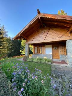 Araucaria - Bariloche - 9