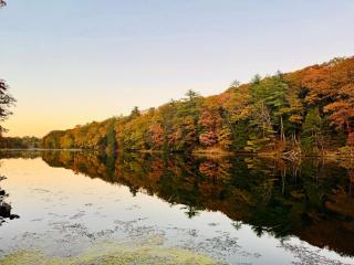 Peaceful Catskills Creek House - Saugerties - 0