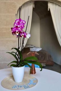 Panta Rei Wellness & Charme Monopoli - 8