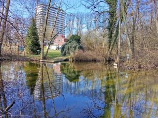 Seeblick Apartment neben der Schwimmhalle, gratis Räder, Tierfreundlich - Plön - 6