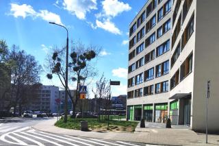 The Cozy Spot 38 parking gratis - Poznań - 7
