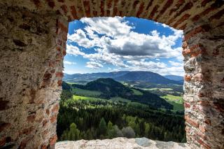 Willa auf der Steinplatte - 1