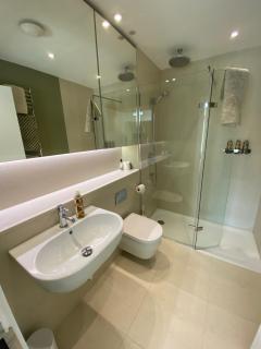 The Green Room - ROOM & EN-SUITE ONLY - Cheltenham - 2