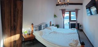 Hotel Plzeňský Dvůr - Frýdek-Místek - 7